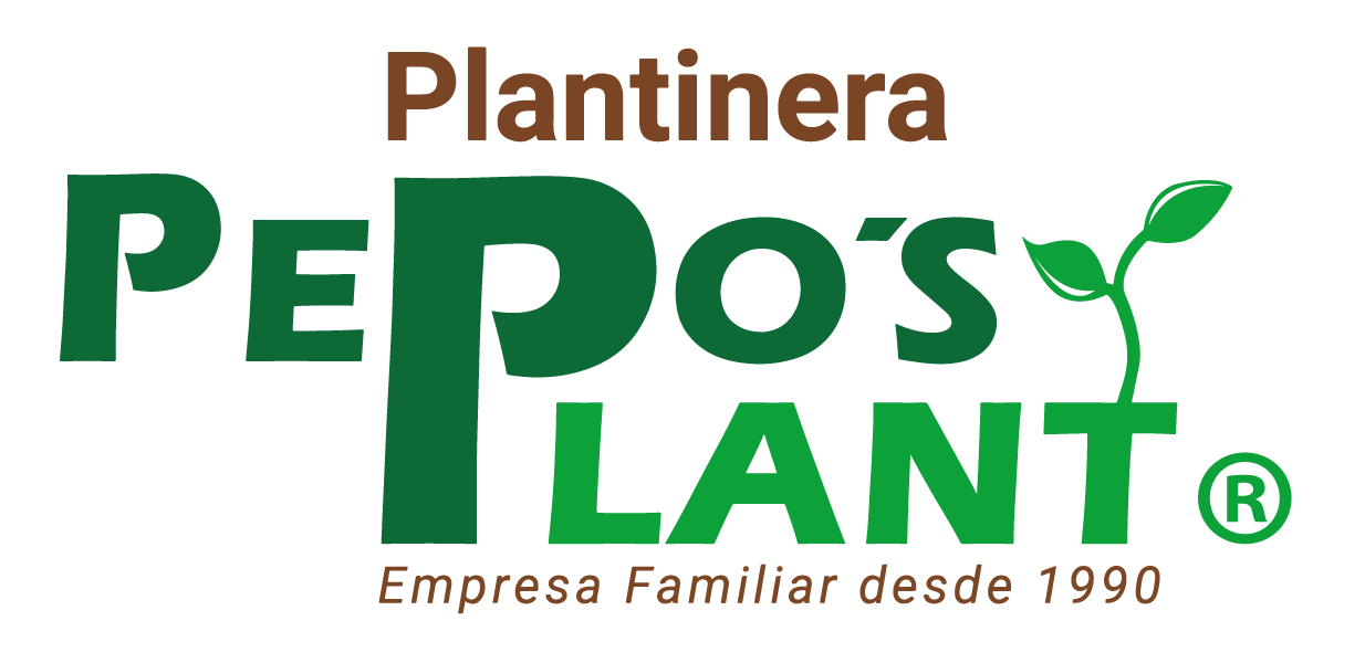 Pepo´s Plant
